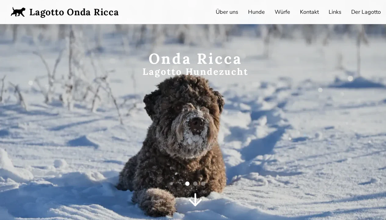 Screenshot der Startseite von Lagotto Onda Ricca